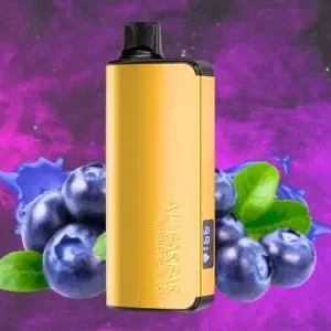 ALIBARBAR INGOT – BLUEBERRY BLAST – 9000 PUFFS